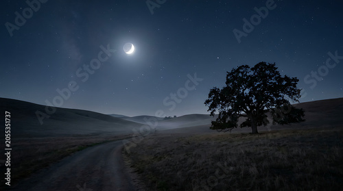 A serene night scene with a tree standing alone on a hill under a peaceful moonlit sky with a winding road leading to the distance.