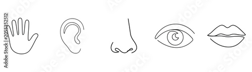 Five human senses minimal continuous line art outline icon set