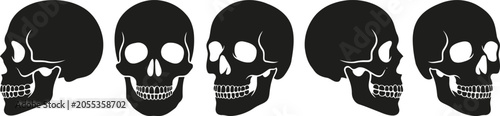Tableau sur toile Set of human skulls in different angles, vector illustration