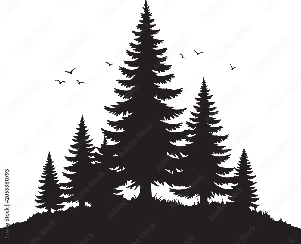 Obraz premium Pine tree forest silhouette, black trees on white background, nature landscape vector
