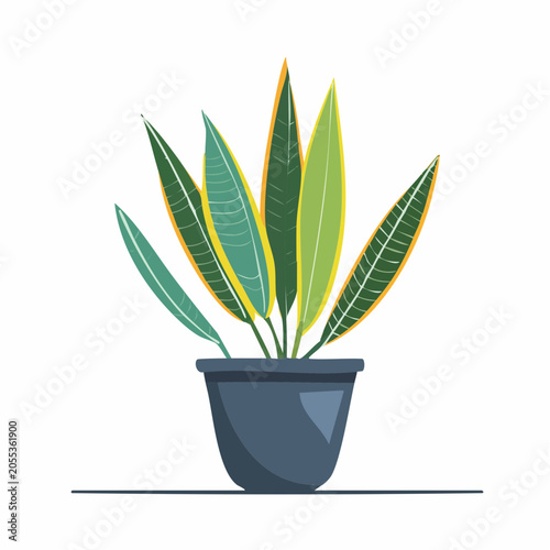 Potted Snake Plant Illustration