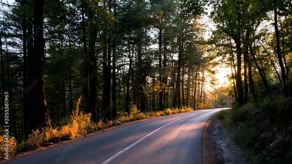 Fototapeta premium A scenic road winds through a dense forest bathed in the warm tranquil glow of sunset or sunrise