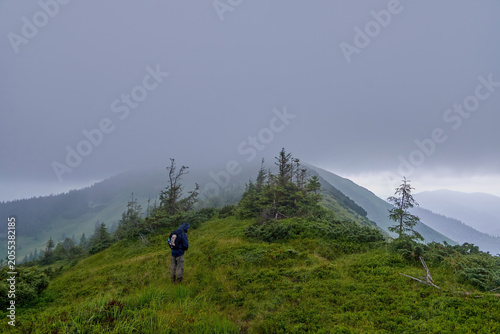 A lone hiker with a backpack stands on a lush, grassy mountain ridge, surrounded by mist and scattered pine trees under a thick, overcast sky, emphasizing the solitude of a wilderness trek.