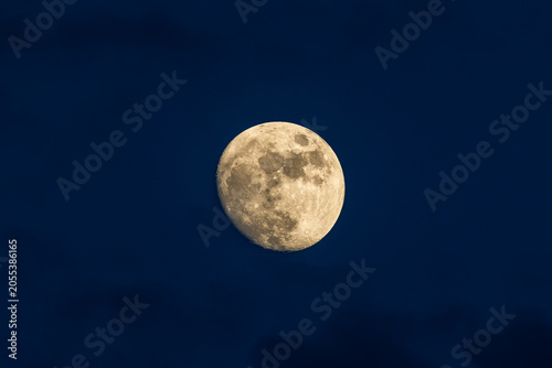 Bilde på lerret Detailed waxing gibbous moon against deep blue evening sky, Italy, Roseto degli
