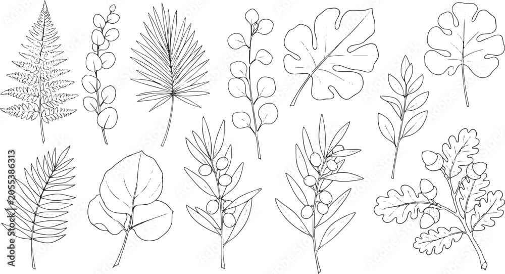 Fototapeta premium Minimalist botanical leaf line art vector elements set