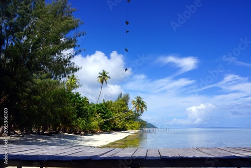 Bild auf Leinwand tropical beach with palm trees of kri island in raja ampat in Indonesia