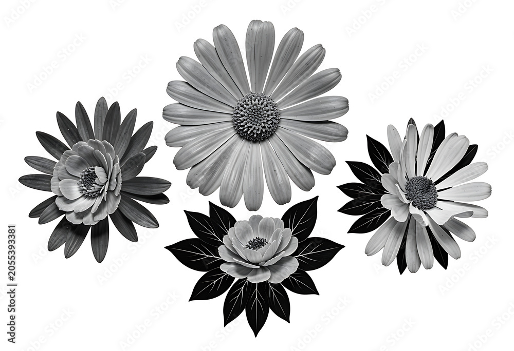 Fototapeta premium Elegant solid black floral motifs for tattoo design and engraving