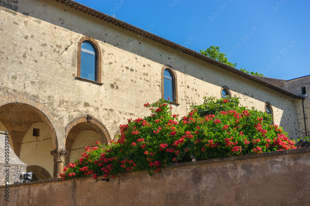 Fototapeta premium Grottaferrata. Abbazia di San Nilo