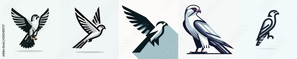 Obraz premium Falcon Vector Illustration