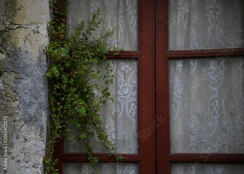 Quadro su tela Antique wooden window with vintage handmade voile lace curtains against a weathered wall in Noto Sicily, Italy