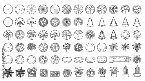 Top View Vector Icons of Trees and Plants for Floor Plans Landscape Architecture and Design Projects