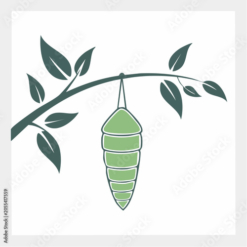 Chrysalis hanging from a branch with leaves