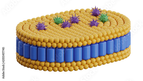Photos 3d illustration of a cell membrane with embedded proteins and lipid bilayer Vect