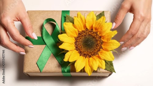 Hands wrapping a gift box with a green ribbon and a sunflower isolated on white background