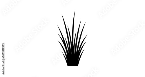 Bild auf Leinwand Grass tuft silhouette on transparent background