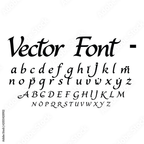Elegant Italic Script Alphabet Letters Vector Font Set