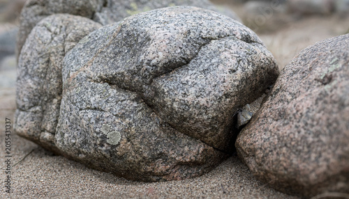 Granite giants kneel in the sand, a quiet dream of ancient skin and slow time
