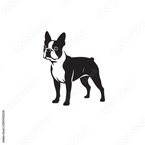 Foto Boston terrier vector icon design silhouette illustration.
