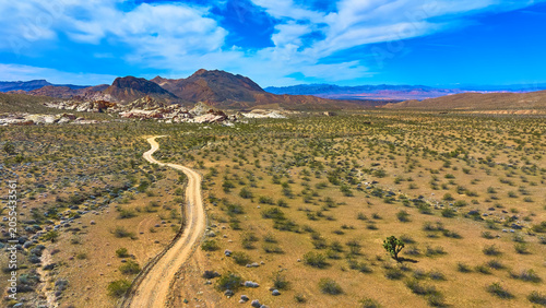 Slika na platnu Aerial backcountry Road Desert Landscape and Mountains in Nevada