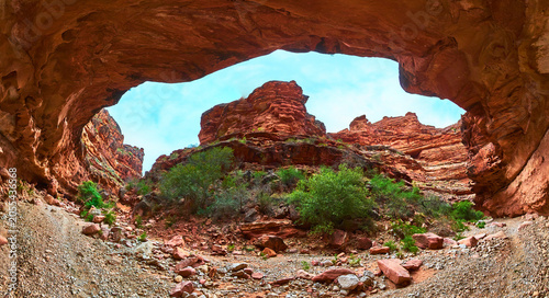 Obraz na plátně Panorama Red Rock Arch and Canyon Landscape with Lush Vegetation Arizona