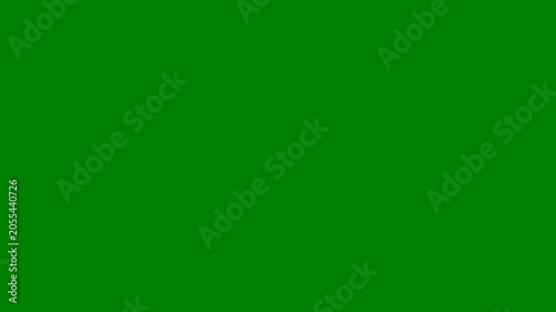 Bug Fixing, Debugging - Minimal Flat Design Motion Graphics Clip - Green Screen, 7.5% Gray