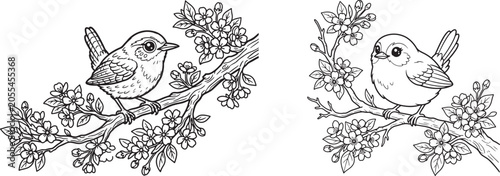Bild auf Leinwand Birds on blossoming branch, black and white vector illustration with transparent
