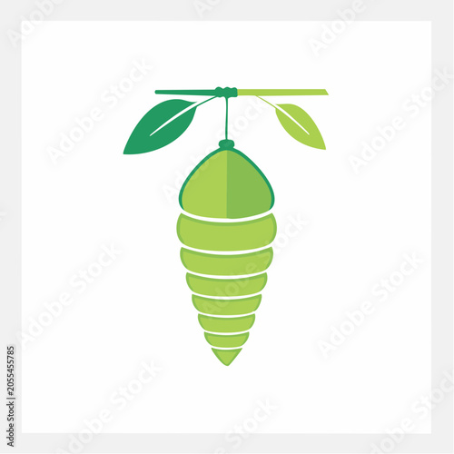 Green chrysalis hanging from a branch with leaves