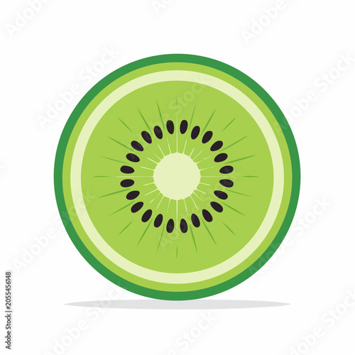 Slice of Kiwi Fruit