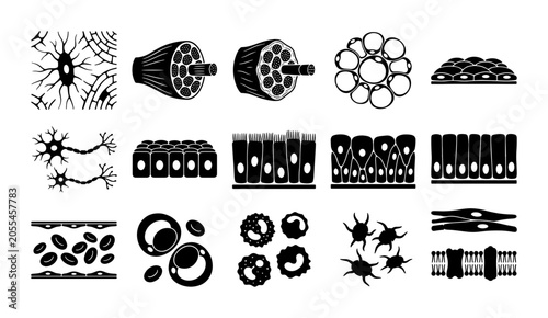 Bild auf Leinwand Human tissue types and cell structures icon set, 15 black and white vector illus