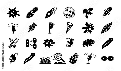 Fényképezés Microscopic organism icons set, 24 black vector silhouettes of bacteria and prot