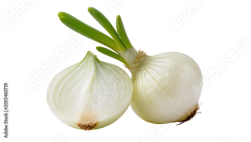 Foto Isolated fresh white onions, one whole with green sprouts and one halved, health