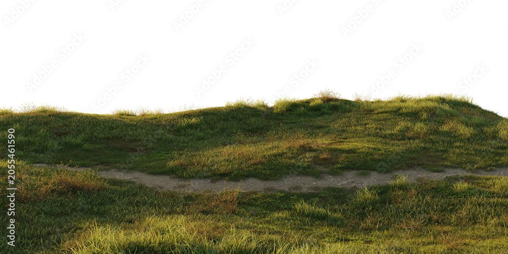 Fototapeta premium Grass hill terrain with worn footpath isolated on transparent background. 3D rendering.