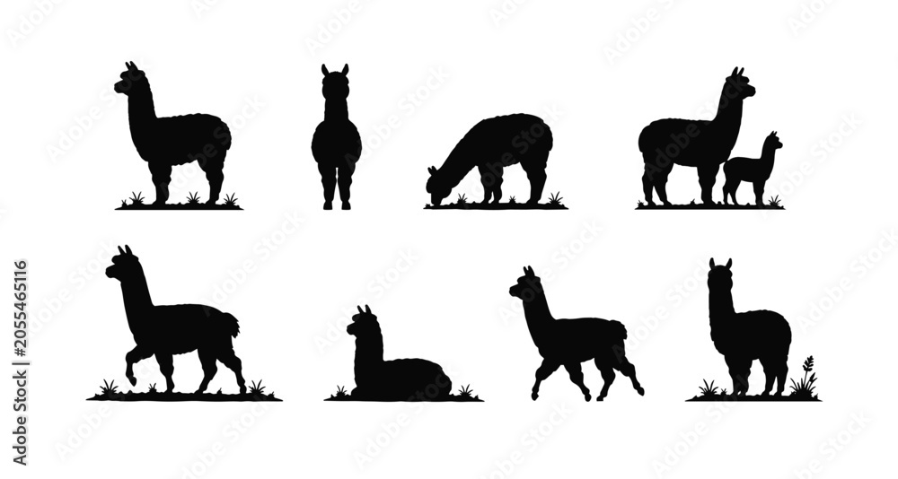 Fototapeta premium Alpaca Silhouette Collection Farm Animal Bundle Set