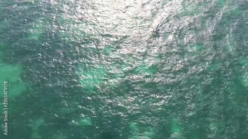 Aerial view of kitesurfers riding ocean waves