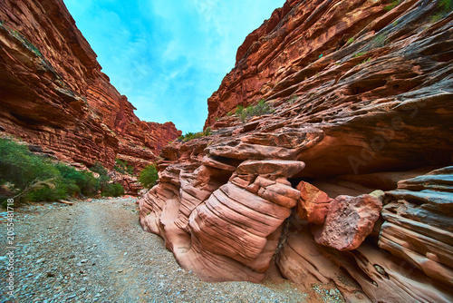Принти на полотні Red Rock Canyon Walls and Rugged Trail with Sandstone Formations Arizona