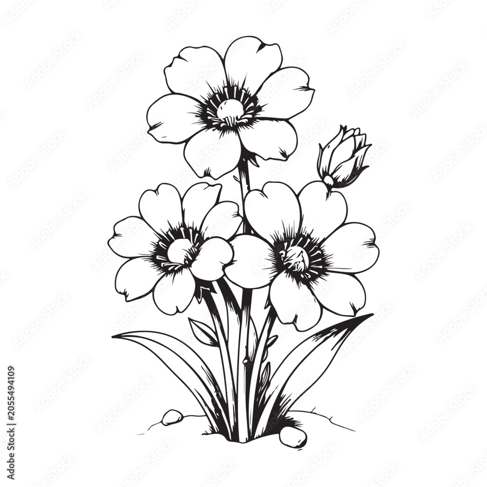 Obraz premium Beautiful Three Flowers Branch Line Art Illustration for Design