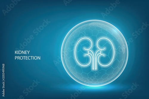 Kidney protection concept, medical illustration of human kidneys inside a protective glowing shield sphere