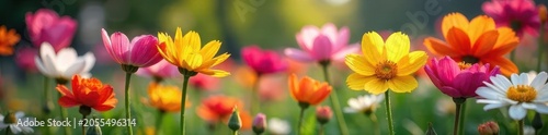 Vibrant spring flowers in full bloom, showcasing an array of colors and textures in a garden setting , flowers, beautiful