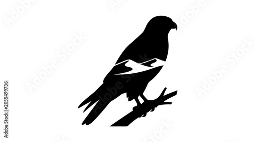 Silhouette of a hawk perched on a branch with a desert landscape in its body