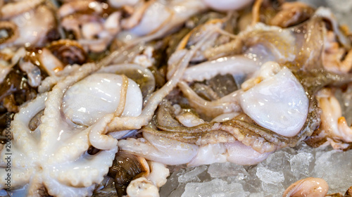Quadro em tela Tentacles on crushed ice