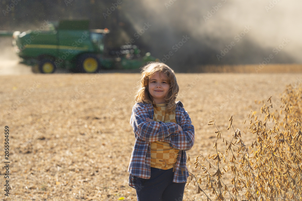 Fototapeta premium Child in a wheat field. Little farmer at farm field. Kid at rural countryside. Carefree childhood outdoors. Kid in golden wheat field. Kid in meadow. Harvest season. Rural field, child on farmland.
