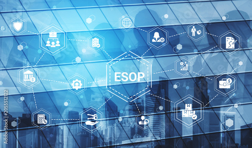 Fotografie ESOP incentive system enhances employee growth program, reward structure, and en
