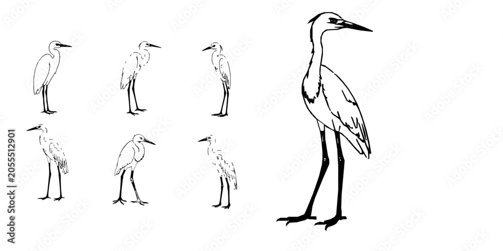 Obraz premium Egret Standing Outline Icon