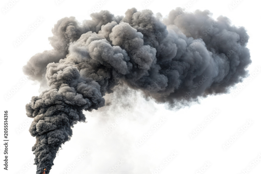 Obraz premium Grey smoke puff on transparent background isolated on a transparent background 1