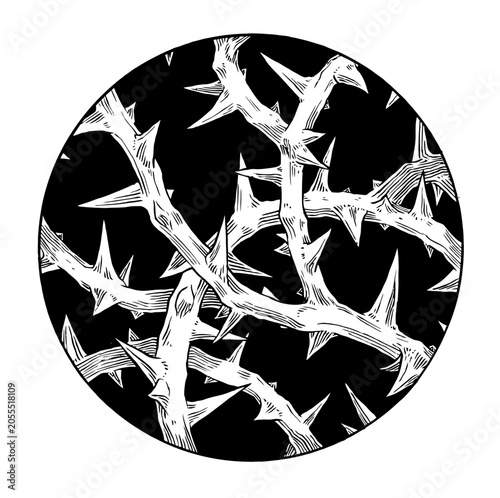 vector illustration of a symbol of the world