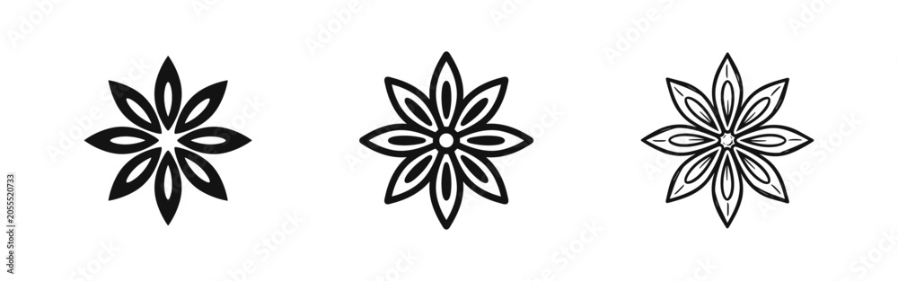 Fototapeta premium Star anise spice and floral pattern icons set for natural design