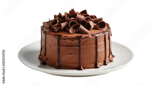Bild auf Leinwand Isolated decadent chocolate cake with rich frosting, chocolate drizzles, and del