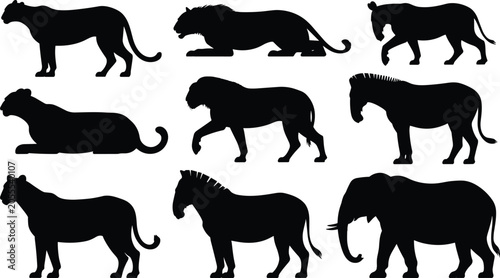 Photography Wild animal silhouettes collection, big cats zebra elephant vector, wildlife pos