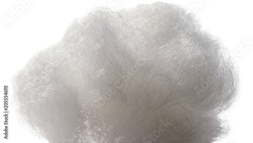 Slika na platnu Isolated fluffy white synthetic fibers for filling, soft texture and intricate d