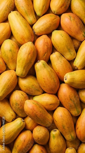 Unripe Green Papaya Pile Fresh Organic Tropical Fruit Background Healthy Cooking